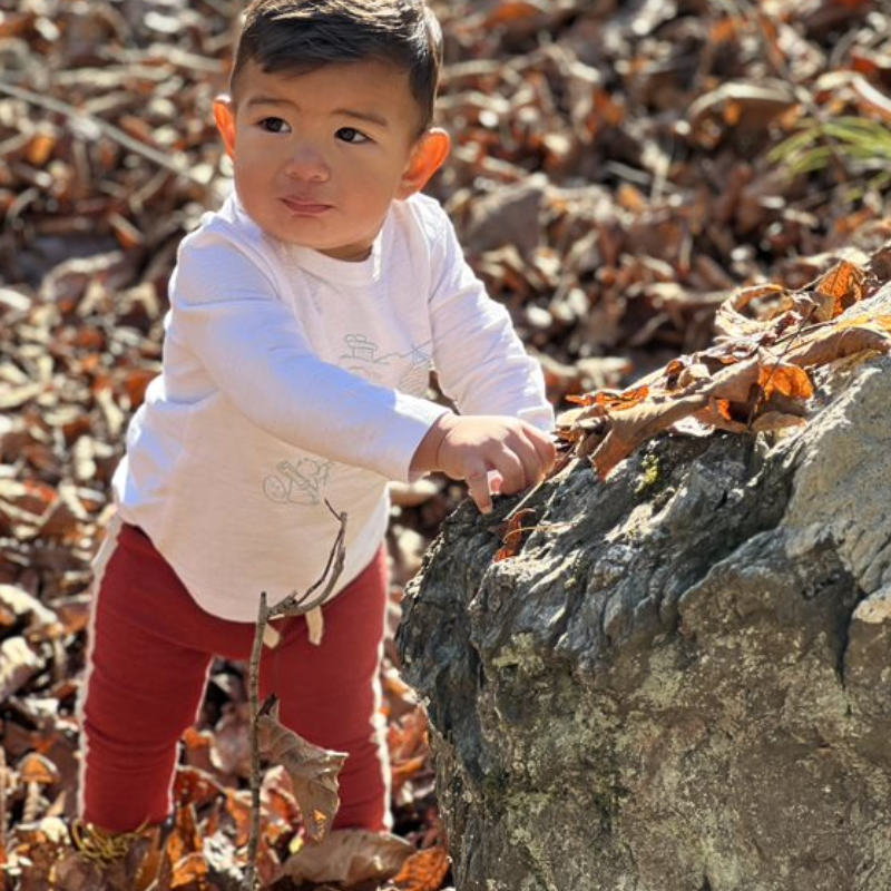 Branok Persimmon Jersey Pants – Little Peeps